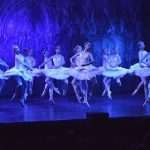 SwanLake 6