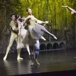 SwanLake 67