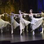 SwanLake 72