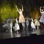 SwanLake 77