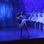 SwanLake 8
