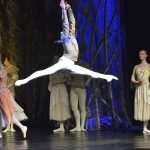 SwanLake 88