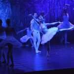SwanLake 9