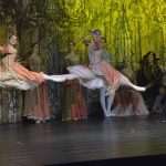 SwanLake 90