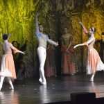 SwanLake 91