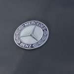 More that 12.500 Mercedes Sellers are Coming to Dubrovnik 6 mercedes 11