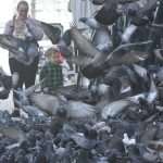 Photo: We Only Have One Life, Spend It on Stradun! 7 spica028