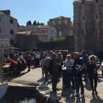 Photo Gallery: Ston Oyster Day 2016! 30 kamenice ston 2016