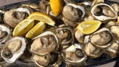 Photo Gallery: Ston Oyster Day 2016! 1 kamenice ston 2016 9