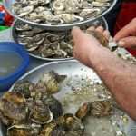 Photo: Oyster Festival in Dubrovnik 2 20160402 102145 resized