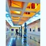 Exhibition of Dubrovnik Painter Stjepko Mamic opened at the Museum of Contemporary Art in Ahwaz 11 ahwaz