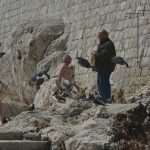 Photo Gallery: Swimming season has officially opened in Dubrovnik 10 kupaci uvalica036