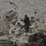 Photo Gallery: Swimming season has officially opened in Dubrovnik 9 kupaci uvalica041