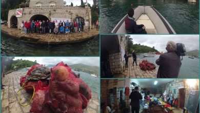 Photo Gallery from Lapad: Eco Action With Dubrovnik Divers 4 Diving Cener Garbage Cleaning in Lapad