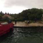 Photo Gallery from Lapad: Eco Action With Dubrovnik Divers 29 Diving Club Eco Action in Lapad 38