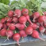 Green And Fish Market Dubrovnik 11