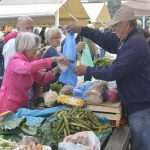 Green And Fish Market Dubrovnik 17