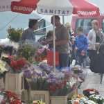 Green And Fish Market Dubrovnik 21