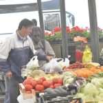 Green And Fish Market Dubrovnik 22