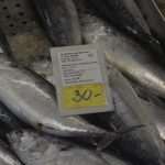 Green And Fish Market Dubrovnik 4