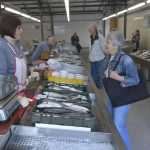Green And Fish Market Dubrovnik 7