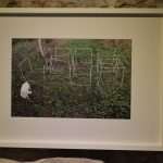 photo graz selection Exhibition 7