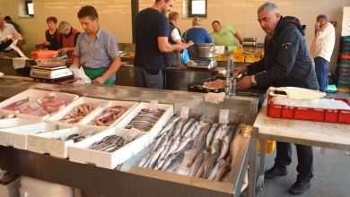 Take a Virtual Walk With our Live Web Camera and Enjoy Fish Market Offer and Traditional Way of Life 13 Fish Market