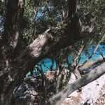 Mljet Perfect Gateaway 8