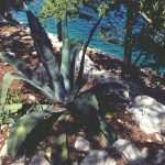 Mljet Perfect Gateaway 9