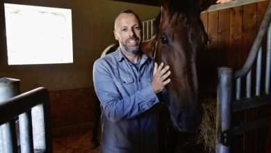 Photo Gallery: A Very Special Gift Arrived in Konavle Today 9 Snow Queen Horse for Jug 1