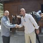 Snow Queen Horse for Jug 10