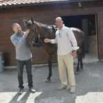 Snow Queen Horse for Jug 12