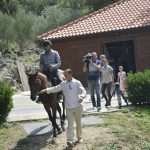 Snow Queen Horse for Jug 14