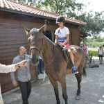 Snow Queen Horse for Jug 17