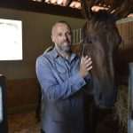 Snow Queen Horse for Jug 2