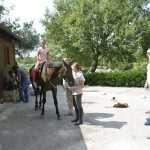 Snow Queen Horse for Jug 20