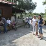 Snow Queen Horse for Jug 22