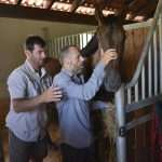 Snow Queen Horse for Jug 23