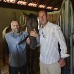 Snow Queen Horse for Jug 3