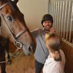 Snow Queen Horse for Jug 7