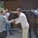 Snow Queen Horse for Jug 8