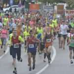 Photo Gallery from the Marathon: Run & Fun in Ston! 39 Ston Wall Marathon 2016 5