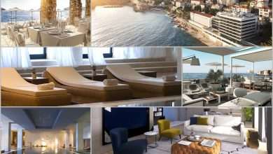 Excelsior Visualization Main