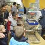 Photo Gallery: Colorful Exhibition of Birds! 17 Bird Exhibition 4