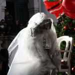 Christmas Tale on Stradun 24