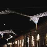 Spreading the light! Emphasizing the importance of preserving nature 3 Lights at Lazareti Gottwald Sato Benvenuti 6