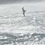Video & Photo Gallery After the Strong Storm: Lucy in the Sky, Chaos on the Streets 23 Cyclone Luce Storng Storm 10