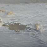 Video & Photo Gallery After the Strong Storm: Lucy in the Sky, Chaos on the Streets 19 Cyclone Luce Storng Storm 14