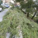 Video & Photo Gallery After the Strong Storm: Lucy in the Sky, Chaos on the Streets 17 Cyclone Luce Storng Storm 16