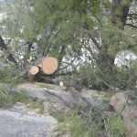 Video & Photo Gallery After the Strong Storm: Lucy in the Sky, Chaos on the Streets 16 Cyclone Luce Storng Storm 17